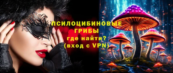 спиды Алзамай