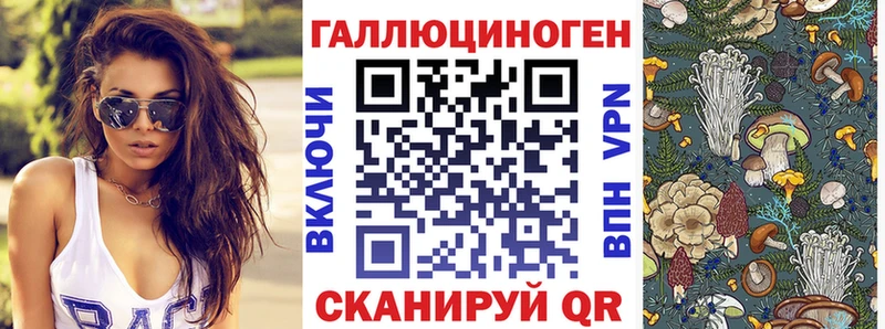 Псилоцибиновые грибы GOLDEN TEACHER  гидра   Дзержинский 